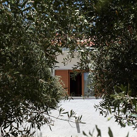 Villa Aelia Kámpos المظهر الخارجي الصورة