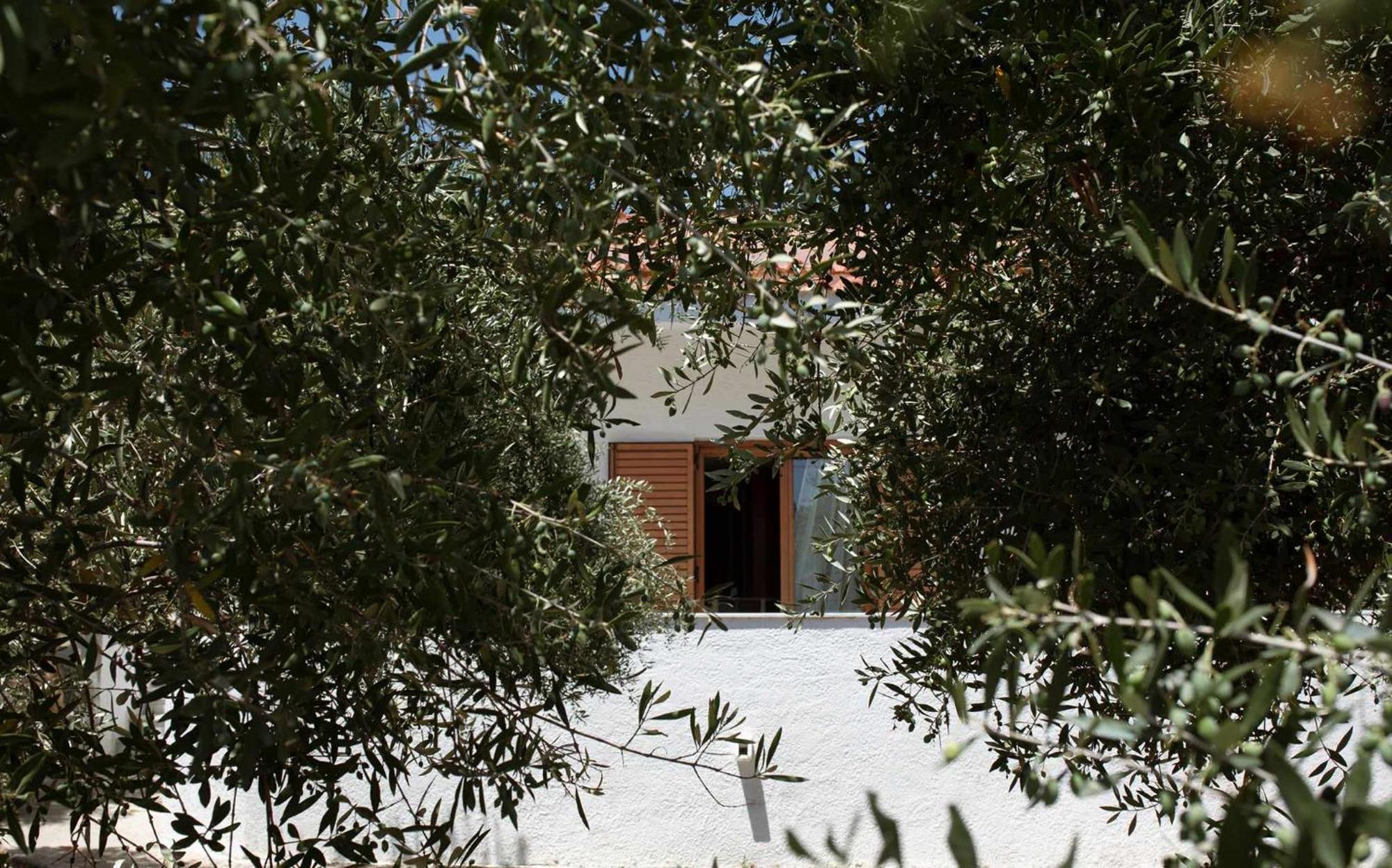 Villa Aelia Kámpos المظهر الخارجي الصورة